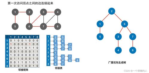 圖的遍歷算法 深度優(yōu)先搜索與廣度優(yōu)先搜索及其存儲支持服務(wù)詳解