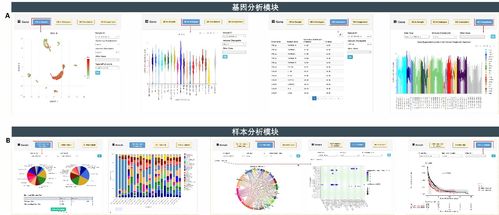 癌癥單細胞表達圖譜數據庫CancerSCEM的發(fā)布與數據處理流程解析